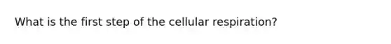 What is the first step of the <a href='https://www.questionai.com/knowledge/k1IqNYBAJw-cellular-respiration' class='anchor-knowledge'>cellular respiration</a>?