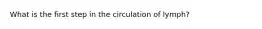 What is the first step in the circulation of lymph?