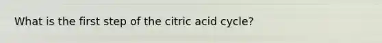 What is the first step of the citric acid cycle?