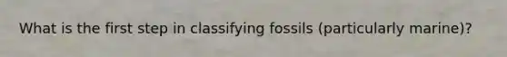 What is the first step in classifying fossils (particularly marine)?