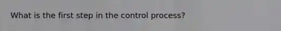 What is the first step in the control process?