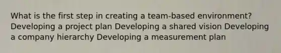 What is the first step in creating a team-based environment? Developing a project plan Developing a shared vision Developing a company hierarchy Developing a measurement plan