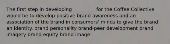 The first step in developing _________ for the Coffee Collective would be to develop positive brand awareness and an association of the brand in consumers' minds to give the brand an identity. brand personality brand-peer development brand imagery brand equity brand image