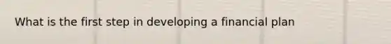 What is the first step in developing a financial plan