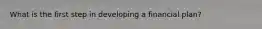 What is the first step in developing a financial plan?