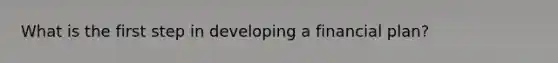 What is the first step in developing a financial plan?