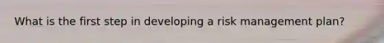 What is the first step in developing a risk management plan?