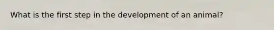 What is the first step in the development of an animal?