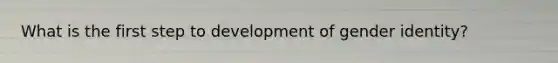 What is the first step to development of gender identity?