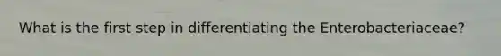 What is the first step in differentiating the Enterobacteriaceae?