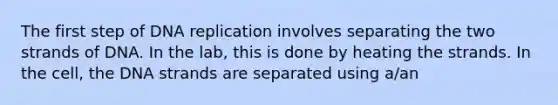 The first step of DNA replication involves separating the two strands of DNA. In the lab, this is done by heating the strands. In the cell, the DNA strands are separated using a/an