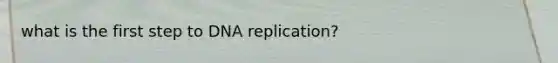 what is the first step to DNA replication?