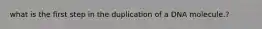 what is the first step in the duplication of a DNA molecule.?