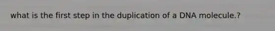 what is the first step in the duplication of a DNA molecule.?