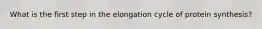 What is the first step in the elongation cycle of protein synthesis?
