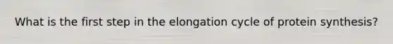 What is the first step in the elongation cycle of protein synthesis?