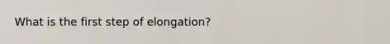 What is the first step of elongation?