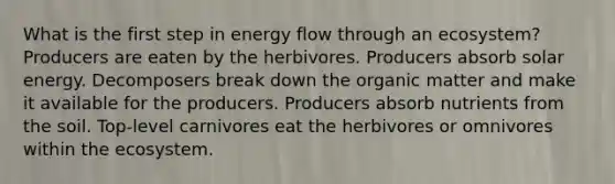 What is the first step in energy flow through an ecosystem? Producers are eaten by the herbivores. Producers absorb solar energy. Decomposers break down the organic matter and make it available for the producers. Producers absorb nutrients from the soil. Top-level carnivores eat the herbivores or omnivores within the ecosystem.