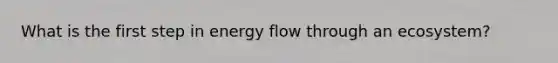 What is the first step in <a href='https://www.questionai.com/knowledge/kwLSHuYdqg-energy-flow' class='anchor-knowledge'>energy flow</a> through an ecosystem?