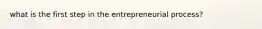what is the first step in the entrepreneurial process?