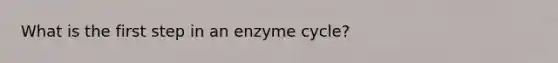 What is the first step in an enzyme cycle?