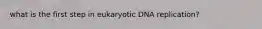 what is the first step in eukaryotic DNA replication?