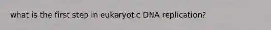 what is the first step in eukaryotic DNA replication?