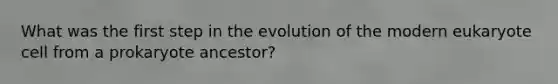 What was the first step in the evolution of the modern eukaryote cell from a prokaryote ancestor?