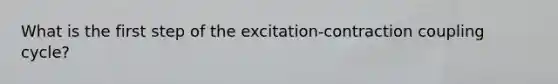 What is the first step of the excitation-contraction coupling cycle?