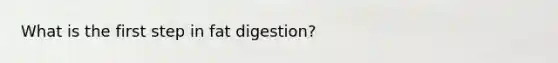 What is the first step in fat digestion?