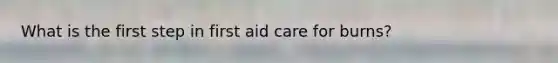 What is the first step in first aid care for burns?