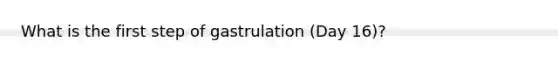 What is the first step of gastrulation (Day 16)?