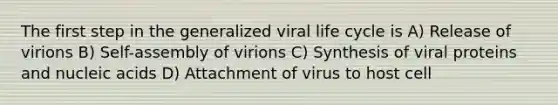 The first step in the generalized viral life cycle is A) Release of virions B) Self-assembly of virions C) Synthesis of viral proteins and nucleic acids D) Attachment of virus to host cell