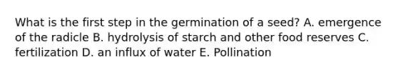 What is the first step in the germination of a seed? A. emergence of the radicle B. hydrolysis of starch and other food reserves C. fertilization D. an influx of water E. Pollination