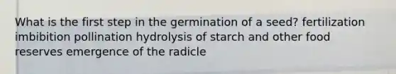 What is the first step in the germination of a seed? fertilization imbibition pollination hydrolysis of starch and other food reserves emergence of the radicle