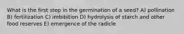 What is the first step in the germination of a seed? A) pollination B) fertilization C) imbibition D) hydrolysis of starch and other food reserves E) emergence of the radicle