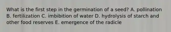 What is the first step in the germination of a seed? A. pollination B. fertilization C. imbibition of water D. hydrolysis of starch and other food reserves E. emergence of the radicle