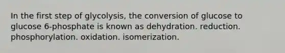 In the first step of glycolysis, the conversion of glucose to glucose 6-phosphate is known as dehydration. reduction. phosphorylation. oxidation. isomerization.