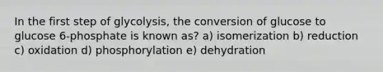 In the first step of glycolysis, the conversion of glucose to glucose 6-phosphate is known as? a) isomerization b) reduction c) oxidation d) phosphorylation e) dehydration