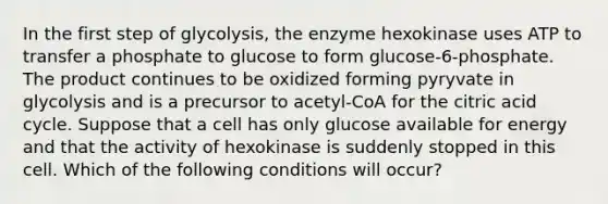 In the first step of glycolysis, the enzyme hexokinase uses ATP to transfer a phosphate to glucose to form glucose-6-phosphate. The product continues to be oxidized forming pyryvate in glycolysis and is a precursor to acetyl-CoA for the citric acid cycle. Suppose that a cell has only glucose available for energy and that the activity of hexokinase is suddenly stopped in this cell. Which of the following conditions will occur?