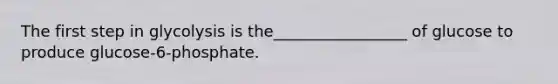 The first step in glycolysis is the_________________ of glucose to produce glucose-6-phosphate.