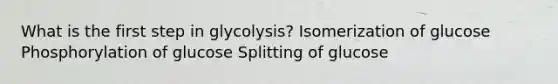 What is the first step in glycolysis? Isomerization of glucose Phosphorylation of glucose Splitting of glucose