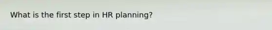 What is the first step in HR planning?