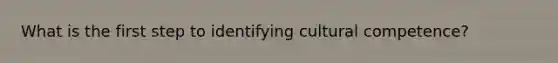 What is the first step to identifying cultural competence?