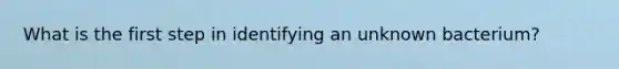 What is the first step in identifying an unknown bacterium?