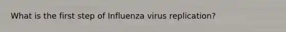 What is the first step of Influenza virus replication?