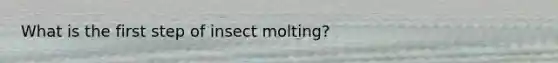 What is the first step of insect molting?