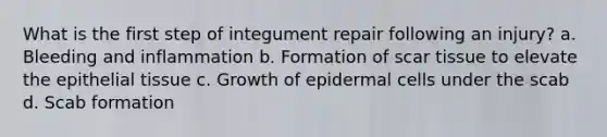 What is the first step of integument repair following an injury? a. Bleeding and inflammation b. Formation of scar tissue to elevate the epithelial tissue c. Growth of epidermal cells under the scab d. Scab formation