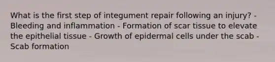 What is the first step of integument repair following an injury? - Bleeding and inflammation - Formation of scar tissue to elevate the <a href='https://www.questionai.com/knowledge/k7dms5lrVY-epithelial-tissue' class='anchor-knowledge'>epithelial tissue</a> - Growth of epidermal cells under the scab - Scab formation