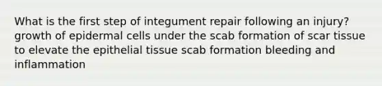 What is the first step of integument repair following an injury? growth of epidermal cells under the scab formation of scar tissue to elevate the <a href='https://www.questionai.com/knowledge/k7dms5lrVY-epithelial-tissue' class='anchor-knowledge'>epithelial tissue</a> scab formation bleeding and inflammation